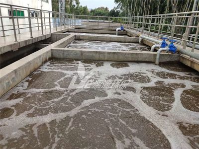 涂料企業:不滿意污水處理設備設施,如何擴建改造?長期穩定